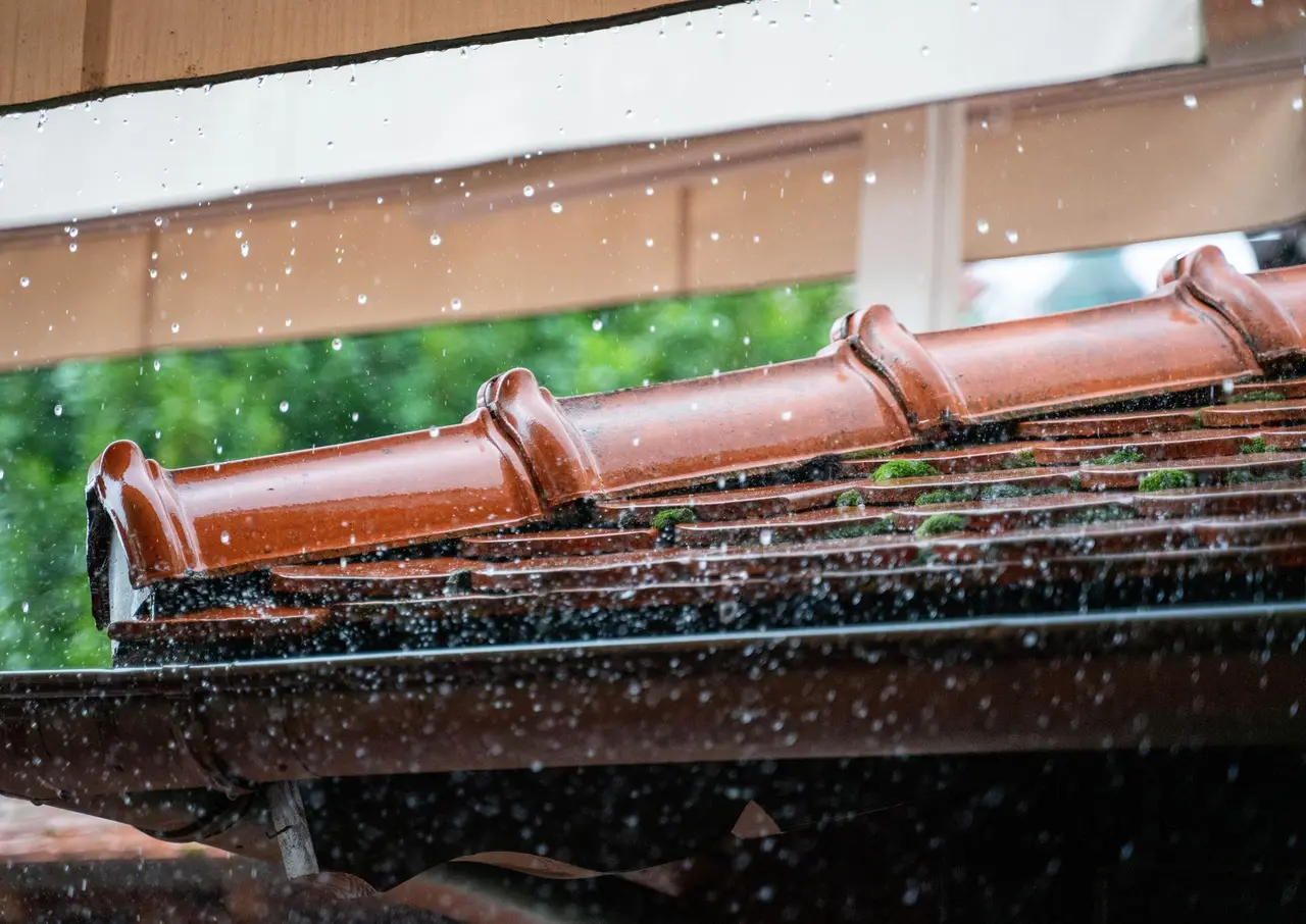 Roof Drainage & Downspout Installation in Wright